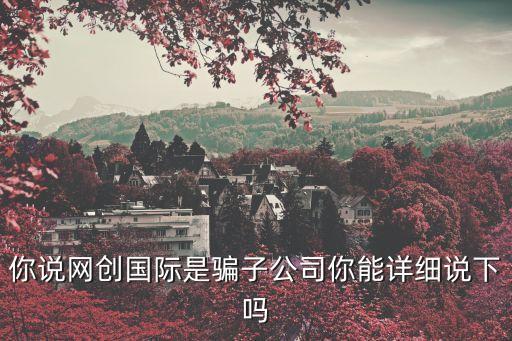 你說網創國際是騙子公司你能詳細說下嗎