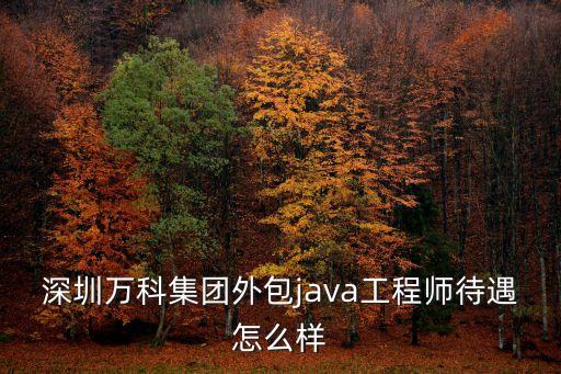 深圳萬科精品世紀之槍模型，深圳萬科城在哪個區