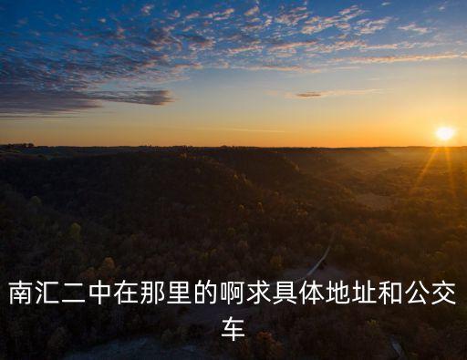 南匯二中在那里的啊求具體地址和公交車