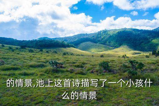 的情景,池上這首詩描寫了一個小孩什么的情景