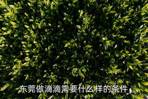 東莞做滴滴需要什么樣的條件