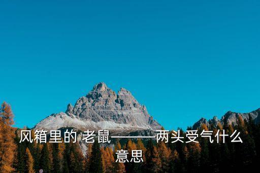  風箱里的 老鼠———兩頭受氣什么意思