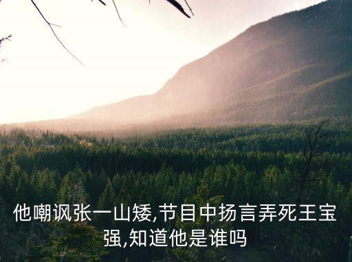 張韡,張大大是誰?原名張