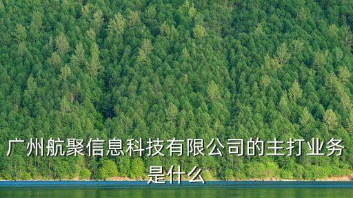 廣州航聚信息科技有限公司的主打業務是什么