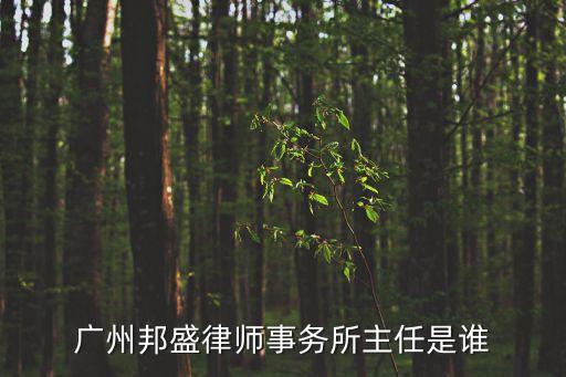 廣州邦盛律師事務所主任是誰