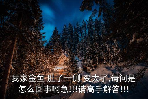 一夜變大的肚子,肚子一夜變大是什么原因