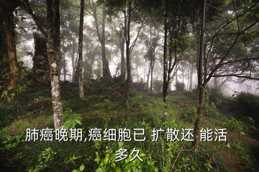 腫瘤擴(kuò)散還能活多久,腫瘤癌細(xì)胞已擴(kuò)散還能活多久?淋巴瘤晚期擴(kuò)散也能活