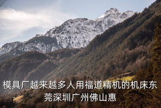 模具廠越來越多人用福道精機的機床東莞深圳廣州佛山惠