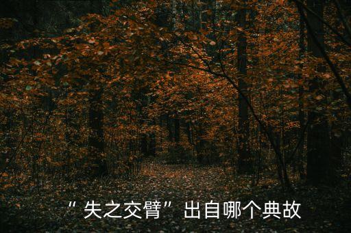 失之交臂,吾終身與汝交一臂而失之,可不哀