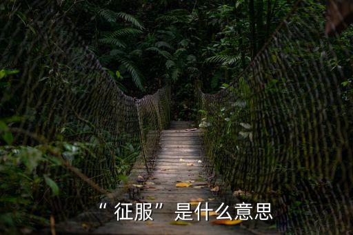 “ 征服”是什么意思