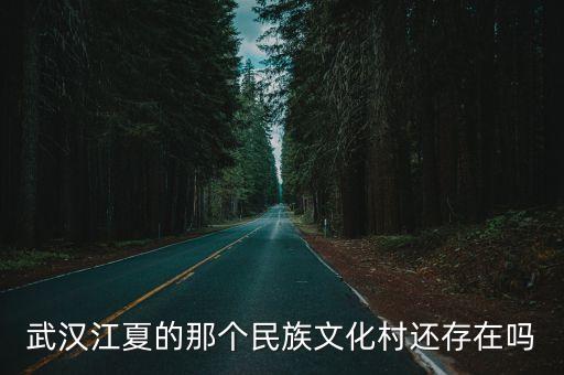 武漢江夏的那個民族文化村還存在嗎