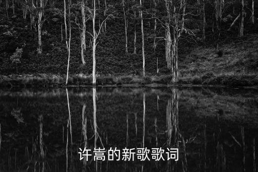 許嵩的新歌歌詞