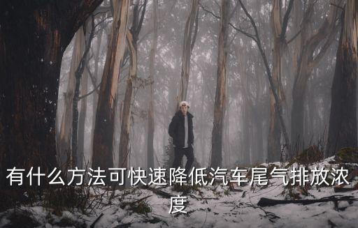 車輛尾氣電子凈化器 喜配件廣州，汽車尾氣凈化器中的催化劑是否有含貴重金屬