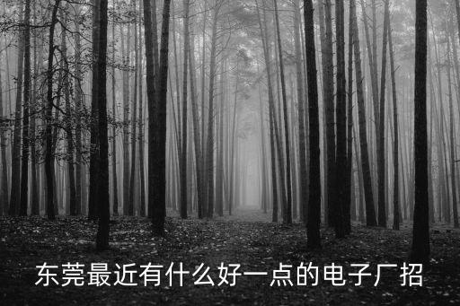 東莞石排鎮有哪些比較正規的工廠，誰告訴我東莞石排鎮人民醫院旁都有哪些電子廠呀