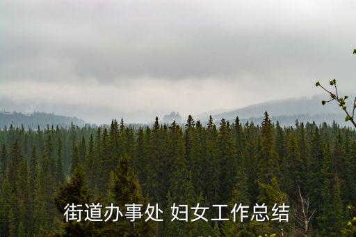 街道辦事處 婦女工作總結