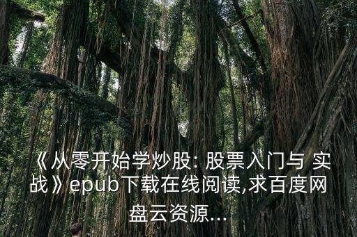 《從零開始學炒股: 股票入門與 實戰》epub下載在線閱讀,求百度網盤云資源...