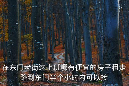深圳東門老街租房信息，深圳東門街鋪的租金大概多少錢