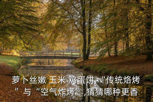 蘿卜絲嫩 玉米 雞蛋餅,“傳統烙烤”與“空氣炸烤”,猜猜哪種更香