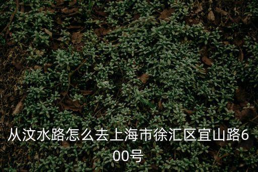 從汶水路怎么去上海市徐匯區宜山路600號