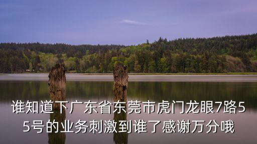 誰知道下廣東省東莞市虎門龍眼7路55號的業(yè)務(wù)刺激到誰了感謝萬分哦
