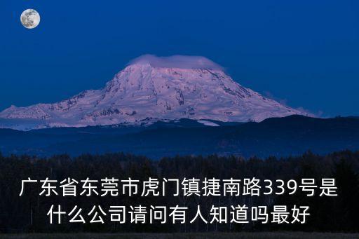 東莞市海博集團(tuán)，東莞市麻涌鎮(zhèn)最重要的企業(yè)是哪一家