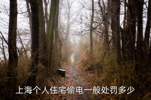 上海個人住宅偷電一般處罰多少