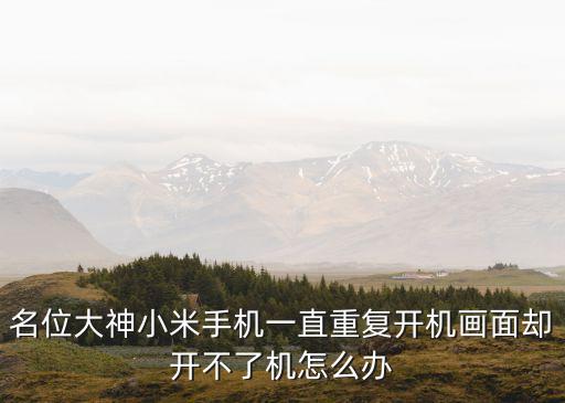 名位大神小米手機(jī)一直重復(fù)開(kāi)機(jī)畫(huà)面卻開(kāi)不了機(jī)怎么辦
