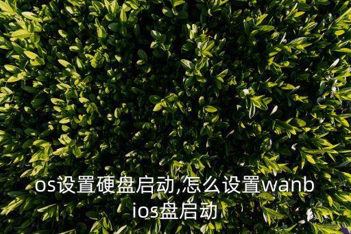 bios設置硬盤啟動,怎么設置wanbios盤啟動?