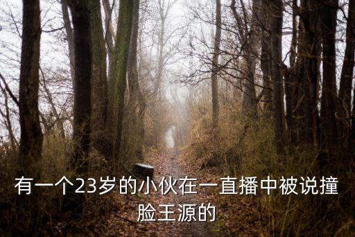 有一個23歲的小伙在一直播中被說撞臉王源的