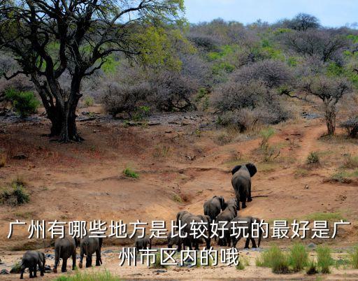 廣州三國志餐廳，廣州天河城附近哪里有原版街機的三國志和恐龍快打街機玩