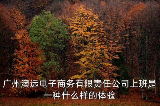 廣州澳遠電子商務有限責任公司上班是一種什么樣的體驗