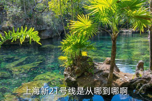 上海市地鐵21線，上海地鐵21號線什么時候開通