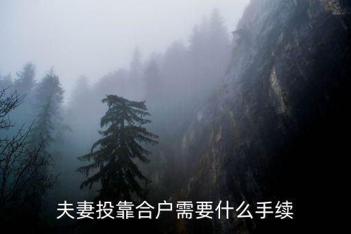 現在東莞入戶夫妻投靠要什么手續，夫妻投靠合戶需要什么手續