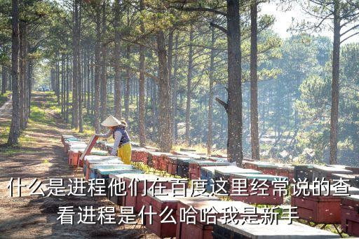 什么是進(jìn)程，什么是進(jìn)程他們?cè)诎俣冗@里經(jīng)常說(shuō)的查看進(jìn)程是什么哈哈我是新手