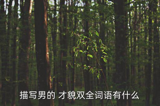描寫男的 才貌雙全詞語有什么
