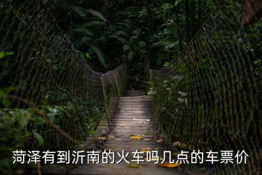 菏澤有到沂南的火車嗎幾點的車票價