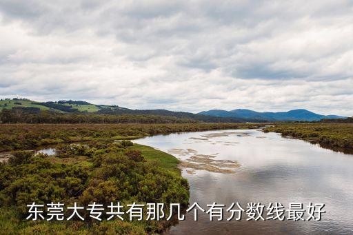 東莞大專共有那幾個有分數線最好