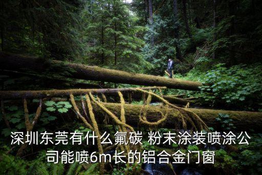 深圳東莞有什么氟碳 粉末涂裝噴涂公司能噴6m長的鋁合金門窗