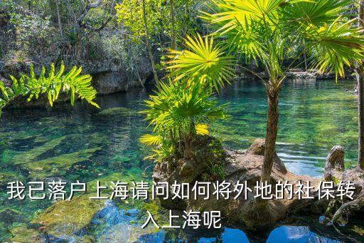 我已落戶上海請(qǐng)問如何將外地的社保轉(zhuǎn)入上海呢