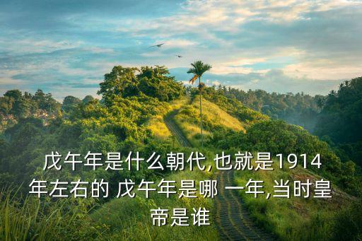  戊午年是什么朝代,也就是1914年左右的 戊午年是哪 一年,當時皇帝是誰