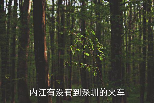 內江有沒有到深圳的火車