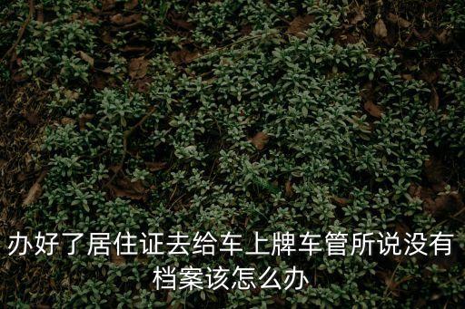 深圳車管所不保管檔案，在深圳市考的駕照在本地查不到檔案怎么辦