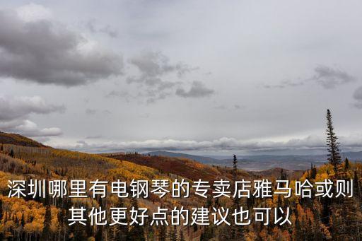 深圳哪里有電鋼琴的專賣店雅馬哈或則其他更好點的建議也可以