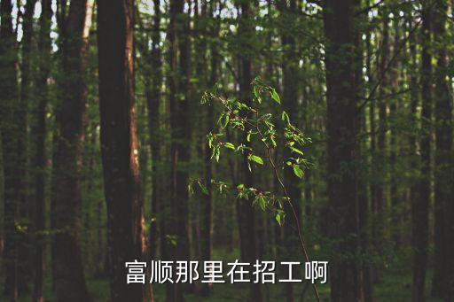 富順那里在招工啊