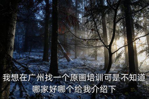 我想在廣州找一個原畫培訓可是不知道哪家好哪個給我介紹下
