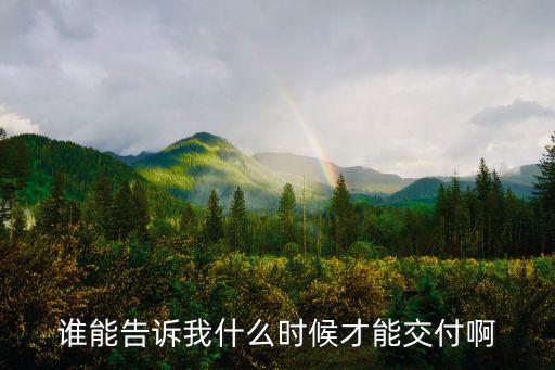 誰能告訴我什么時候才能交付啊