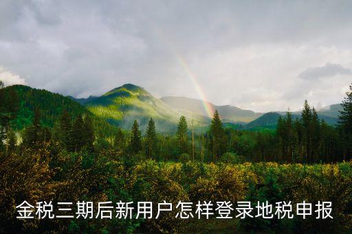 金稅三期后新用戶怎樣登錄地稅申報