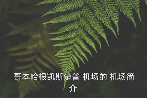  哥本哈根凱斯楚普 機場的 機場簡介