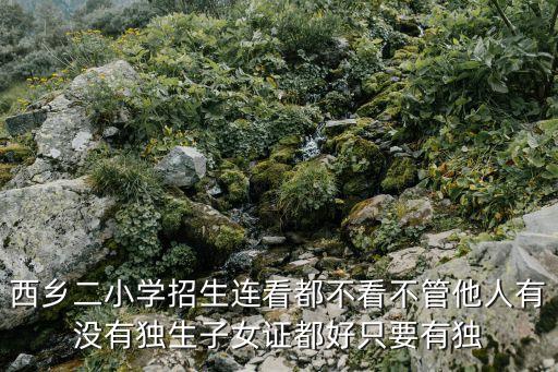 深圳西鄉(xiāng)小學(xué)報(bào)名情況，西鄉(xiāng)二小學(xué)招生連看都不看不管他人有沒有獨(dú)生子女證都好只要有獨(dú)