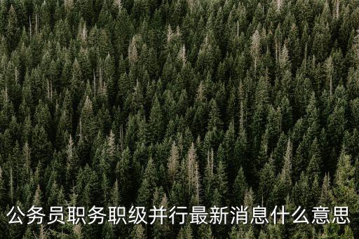 公務員職務職級并行最新消息什么意思